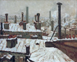 Techos nevados